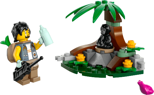 Baby Gorilla Encounter