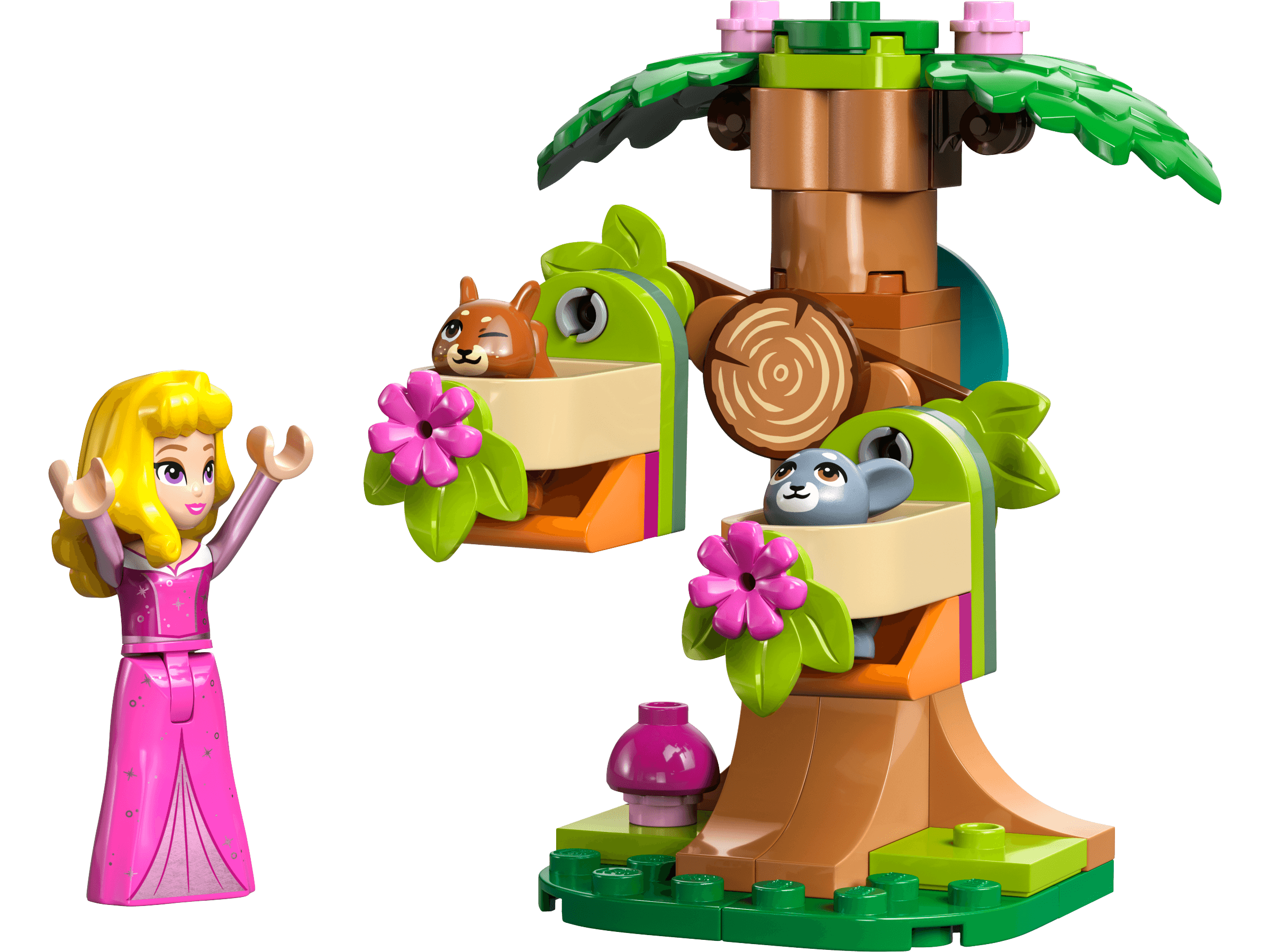 Aurora's Forest Playground